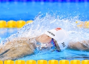 开云棋牌-金玟哉存在感拉满，希腊狂胜塞内加尔—一场战术与意志的完美风暴