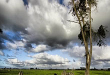 游戏试玩模拟器-G2力克FLY，Tarzan单局斩获MVP小组赛3:1