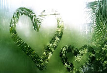 开云棋牌游戏-FNC轻取DK，Canyon团战一打五全球总决赛2:1